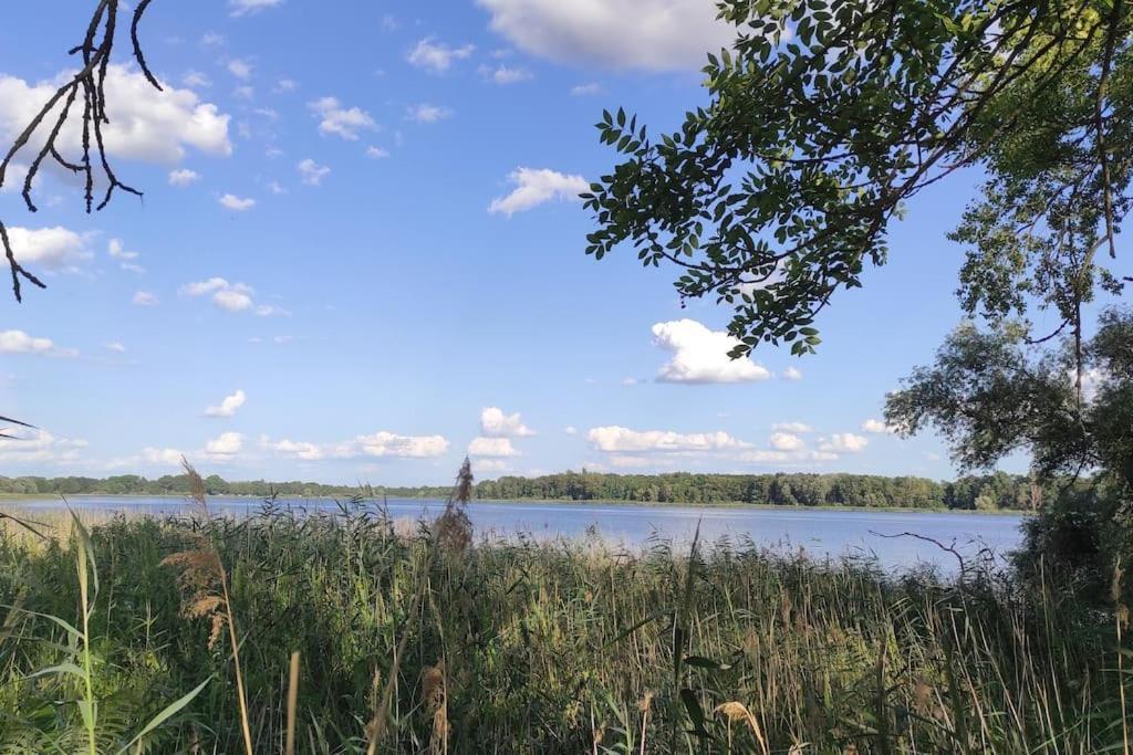 Storchennest - Ferienwohnung Am Storchenradweg Ketzur Bagian luar foto