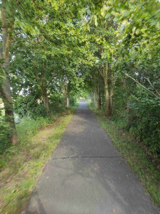Storchennest - Ferienwohnung Am Storchenradweg Ketzur Bagian luar foto