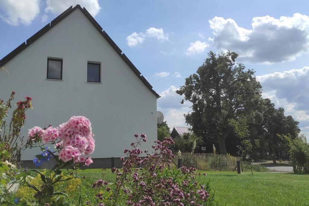 Storchennest - Ferienwohnung Am Storchenradweg Ketzur Bagian luar foto