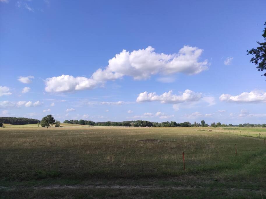 Storchennest - Ferienwohnung Am Storchenradweg Ketzur Bagian luar foto
