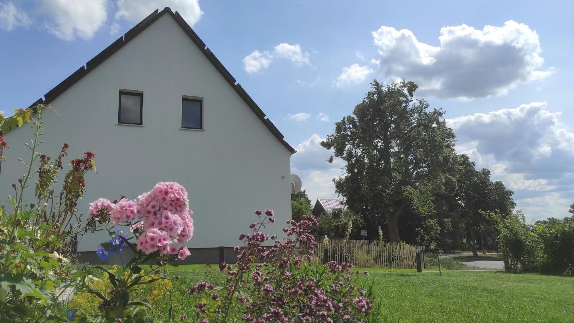 Storchennest - Ferienwohnung Am Storchenradweg Ketzur Bagian luar foto