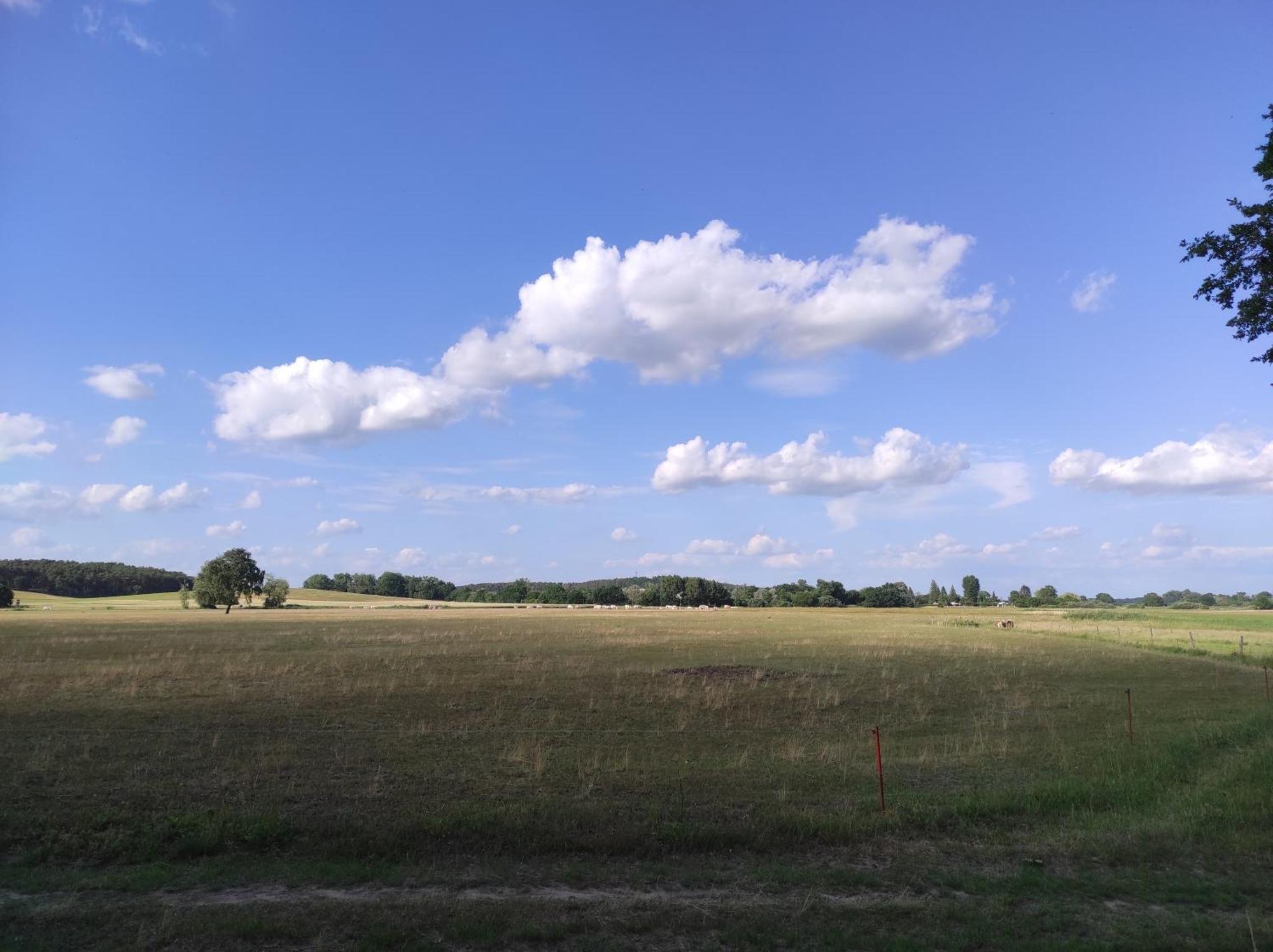 Storchennest - Ferienwohnung Am Storchenradweg Ketzur Bagian luar foto