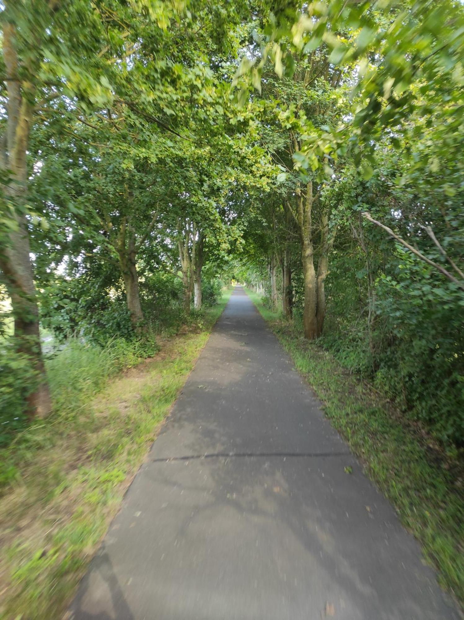 Storchennest - Ferienwohnung Am Storchenradweg Ketzur Bagian luar foto